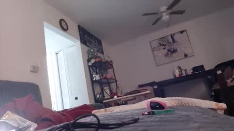 Carlie online show from April 11, 9:02 am