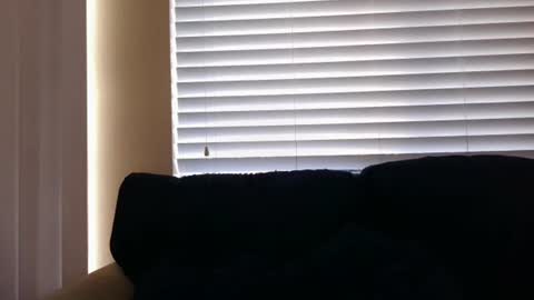 Brooke online show from June 24, 2:18 am