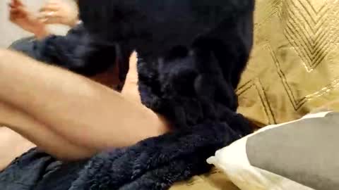 casal_301 online show from February 23, 10:20 pm