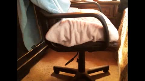 Cashew online show from December 25, 8:28 pm