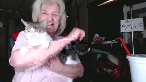 Snapshot of cat9paw chatting on February 5, 6:26 pm cat online show from February 5, 6:26 pm