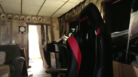 cat online show from October 24, 4:30 pm