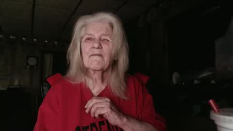 cat online show from November 7, 7:49 pm