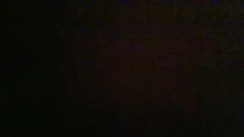 cat_2019 online show from September 19, 11:30 pm