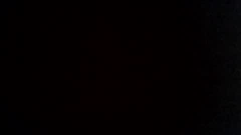 cat_2019 online show from December 10, 12:06 am