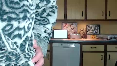 CATALYSTIC online show from October 23, 1:01 pm