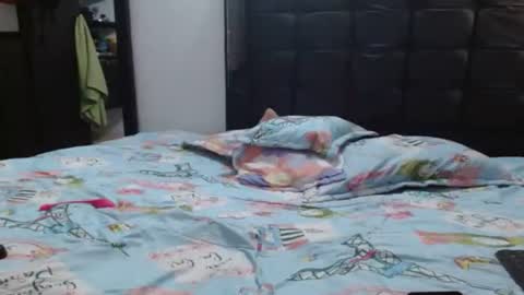 charlotte online show from February 18, 10:47 pm