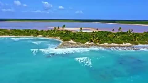 Sam online show from December 19, 6:56 pm