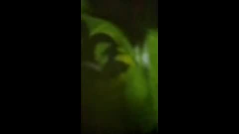 chavacaliete online show from April 4, 9:49 am