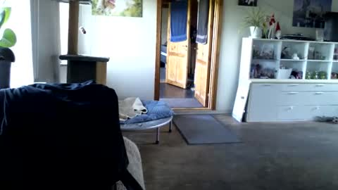 chefben666 online show from May 17, 5:16 am