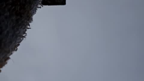 cheffydl online show from November 9, 12:52 pm