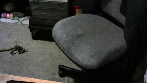 chefy online show from November 2, 1:11 pm