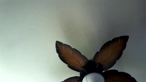 Chiseled online show from September 24, 5:19 pm