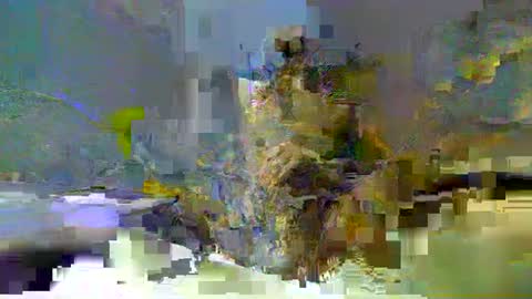 chuck354139 online show from February 13, 3:14 pm