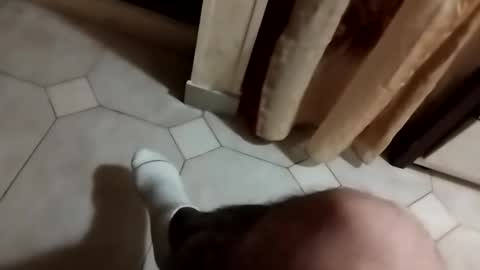 ciccilli online show from September 25, 9:00 pm