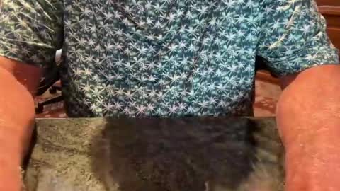 Cock 4u 247 online show from July 20, 9:27 pm