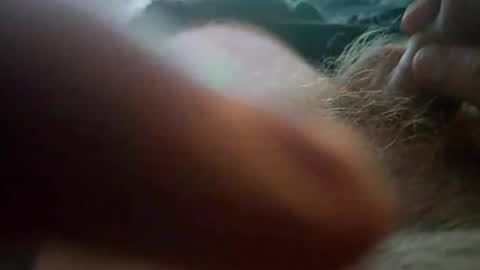 Cocotiger online show from September 23, 1:32 am