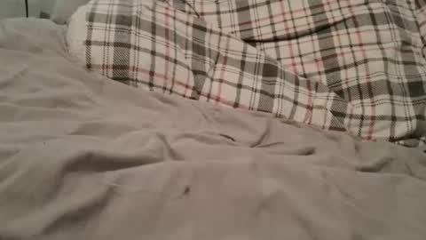 collegecannon online show from February 1, 6:21 am