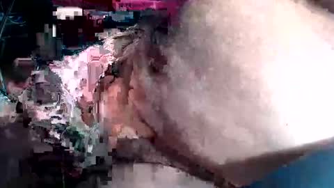 colourlight online show from March 17, 12:43 pm