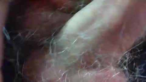 comox online show from November 1, 5:17 am