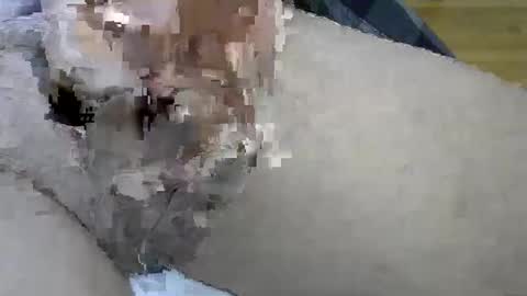 coneyguy online show from October 10, 2:34 pm