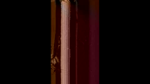 Snapshot of corradog83 chatting on February 8, 8:52 am Corrado online show from February 8, 8:52 am