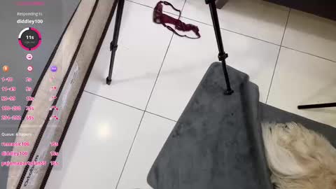 Melissa Jhonny and Anna online show from September 14, 10:55 pm