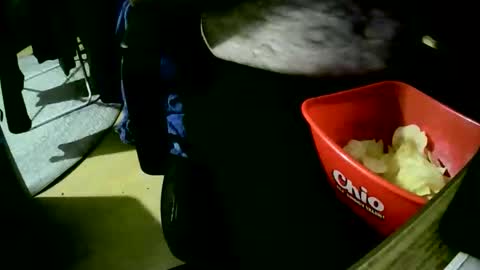 coyote017 online show from October 22, 6:20 pm