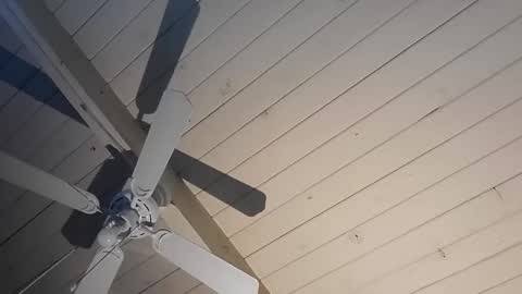 cpdobbs38 online show from January 11, 12:22 pm