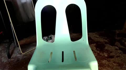 Jay online show from February 20, 10:15 pm