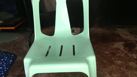 Jay online show from February 21, 1:33 pm