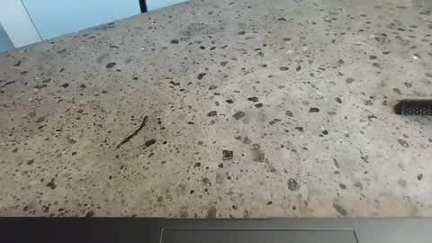 cruelworldxxx online show from February 26, 12:03 am