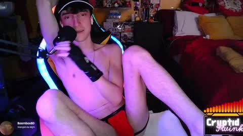 CryptidTwink online show from April 11, 6:40 am