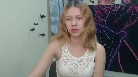 Stella online show from November 19, 7:40 am