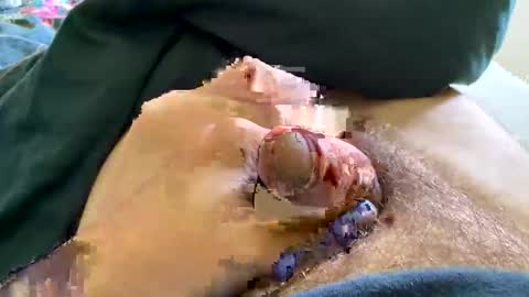 cs283991 online show from October 26, 9:43 am