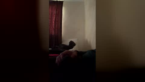 ctodczlzbnpt online show from January 13, 12:35 pm