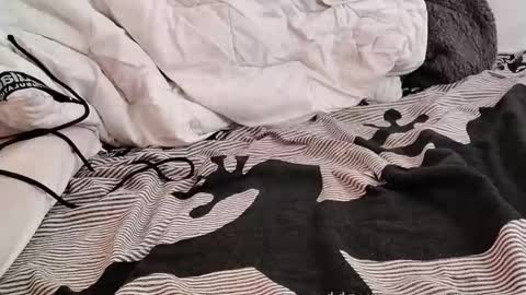 cum_boy84 online show from October 4, 7:00 pm