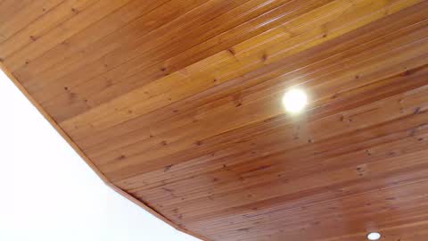 LIZETH online show from March 8, 2:30 pm