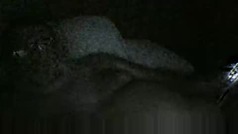 cwill27837 online show from November 29, 4:42 am