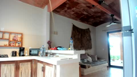 Belle  Email daddydaycarecb  online show from March 11, 1:45 pm