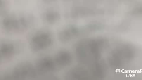 Tommy online show from November 2, 1:33 pm