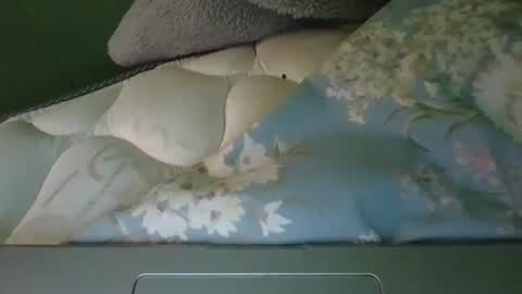 daisnconfusion_ online show from March 6, 7:10 pm