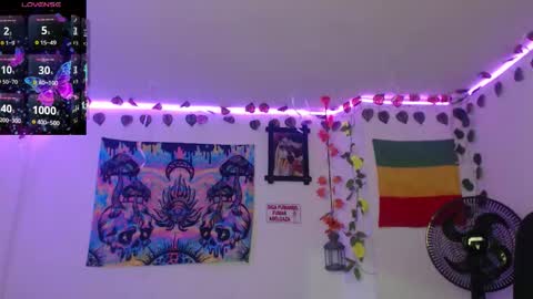 Dakko online show from January 12, 9:05 am