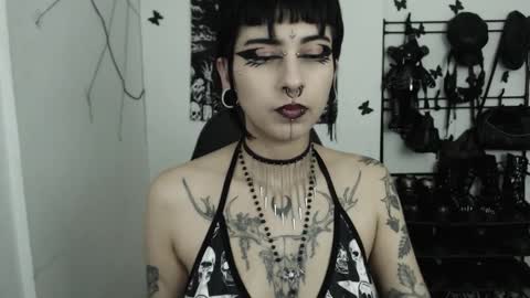 dakota online show from November 12, 2:14 am