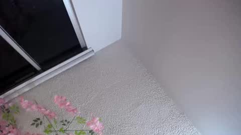     online show from October 4, 2:42 am