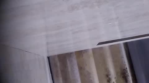 Dalila online show from September 18, 10:19 am