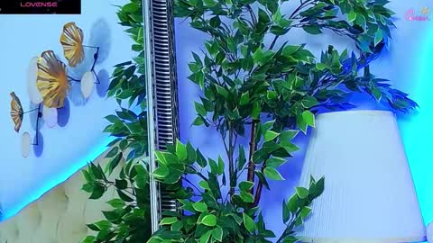 daliyaa_ online show from February 12, 2:31 pm