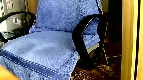 Dammerl online show from April 12, 1:48 pm