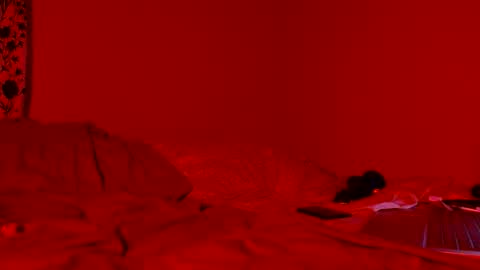 Nova online show from April 11, 8:18 am