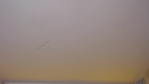 dania_b_ online show from November 5, 3:08 am